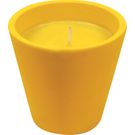 Maceta Citronela Caribe