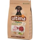Comida Seca Perros Adult Cordero
