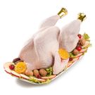 Pavita Menor de 4 Kg.