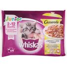 Comida Húmeda Gatos Casserole Aves