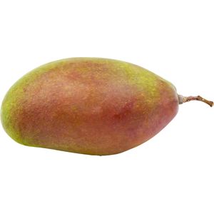 Sembrar mordedura Meloso Mango | Tu supermercado masymas online